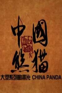 中国熊猫1